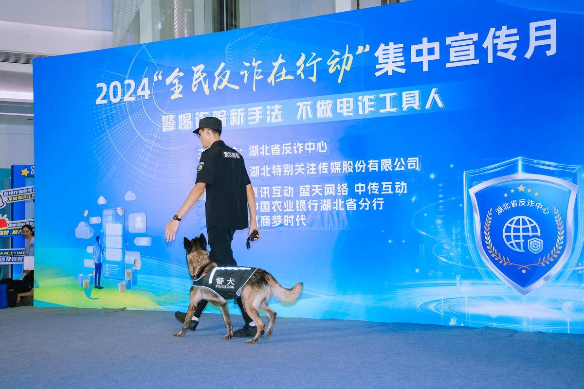 1722398819436592.jpg 3677318939.jpg